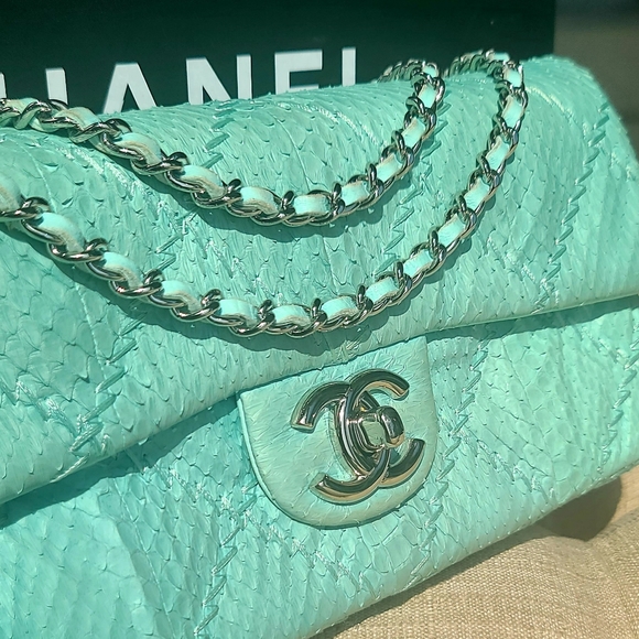 Chanel Python Classic Flap Bag - Picture 9 of 12